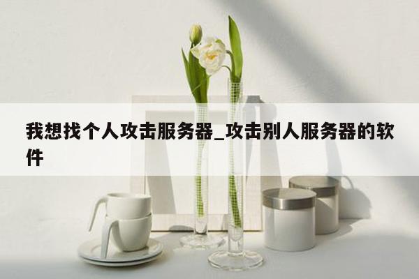 我想找个人攻击服务器_攻击别人服务器的软件