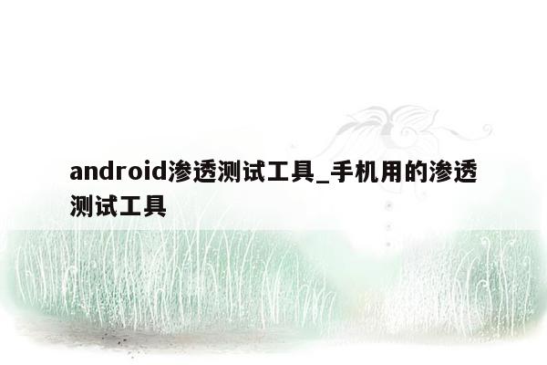 android渗透测试工具_手机用的渗透测试工具