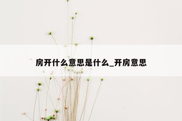 房开什么意思是什么_开房意思