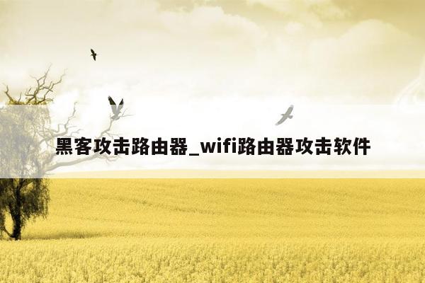 黑客攻击路由器_wifi路由器攻击软件