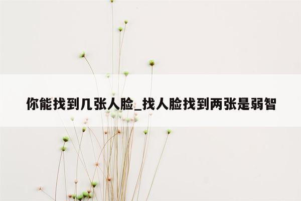 你能找到几张人脸_找人脸找到两张是弱智