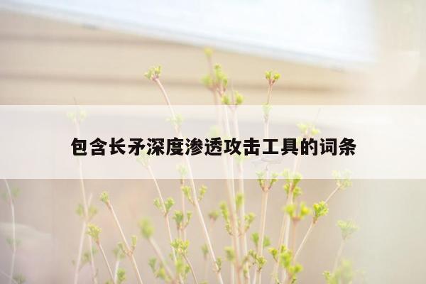 包含长矛深度渗透攻击工具的词条