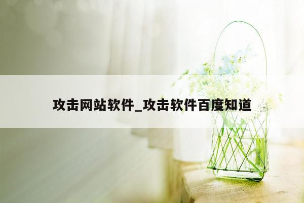 攻击网站软件_攻击软件百度知道