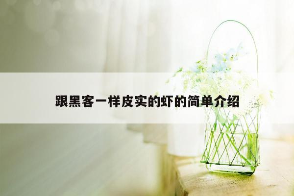 跟黑客一样皮实的虾的简单介绍