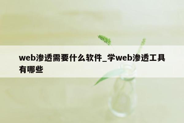 web渗透需要什么软件_学web渗透工具有哪些