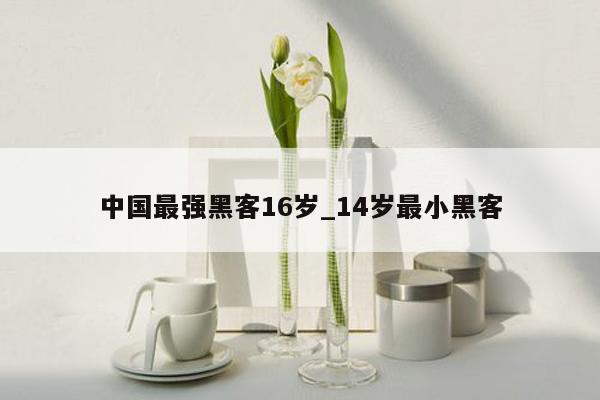 中国最强黑客16岁_14岁最小黑客