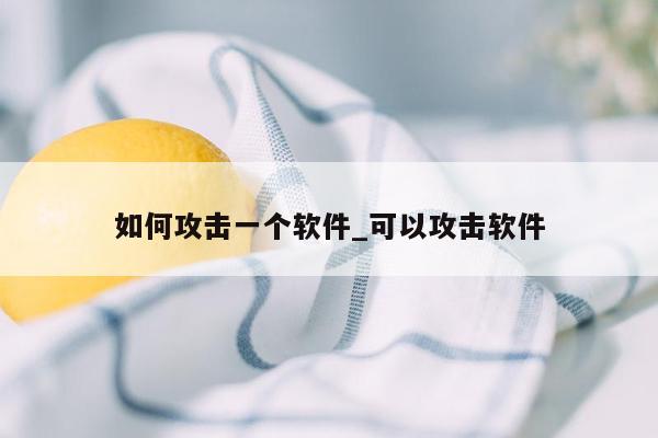 如何攻击一个软件_可以攻击软件