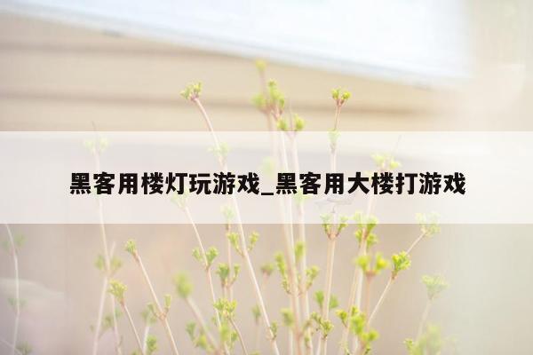 黑客用楼灯玩游戏_黑客用大楼打游戏