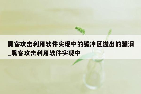 黑客攻击利用软件实现中的缓冲区溢出的漏洞_黑客攻击利用软件实现中