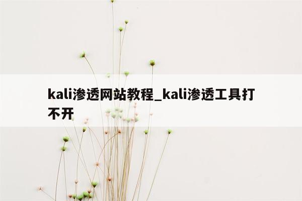 kali渗透网站教程_kali渗透工具打不开