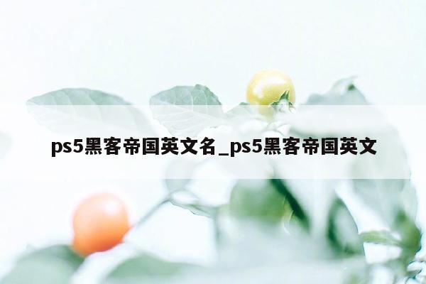 ps5黑客帝国英文名_ps5黑客帝国英文