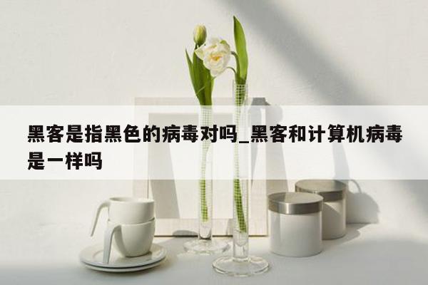 黑客是指黑色的病毒对吗_黑客和计算机病毒是一样吗