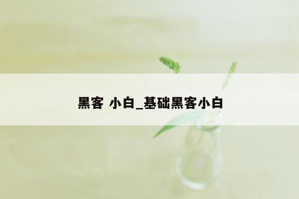 黑客 小白_基础黑客小白