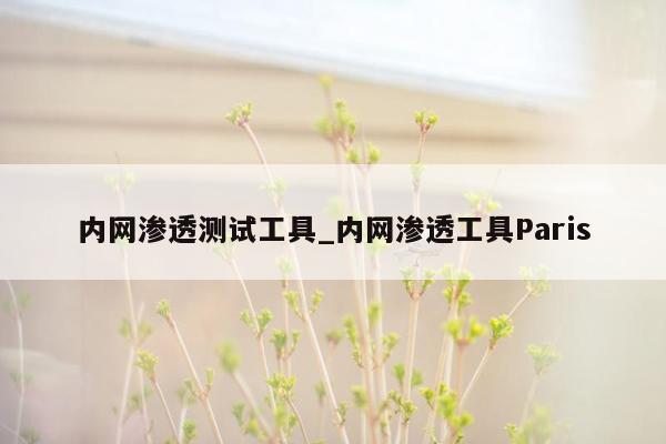 内网渗透测试工具_内网渗透工具Paris