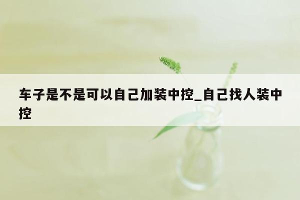 车子是不是可以自己加装中控_自己找人装中控