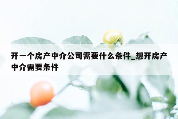 开一个房产中介公司需要什么条件_想开房产中介需要条件