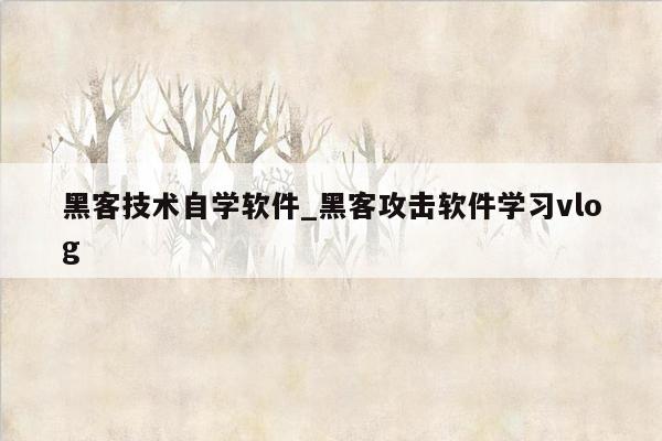 黑客技术自学软件_黑客攻击软件学习vlog