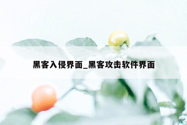 黑客入侵界面_黑客攻击软件界面