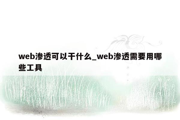 web渗透可以干什么_web渗透需要用哪些工具