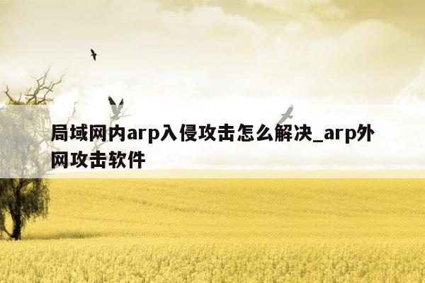 局域网内arp入侵攻击怎么解决_arp外网攻击软件