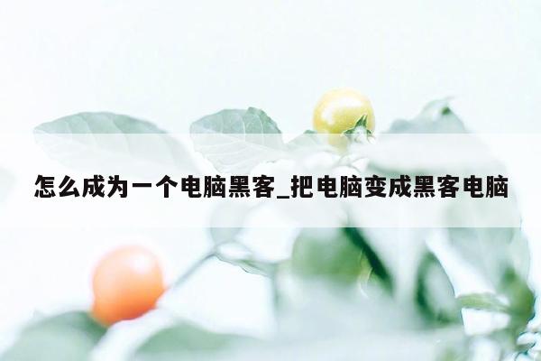 怎么成为一个电脑黑客_把电脑变成黑客电脑