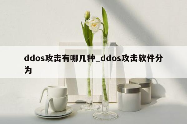 ddos攻击有哪几种_ddos攻击软件分为