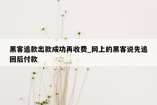 黑客追款出款成功再收费_网上的黑客说先追回后付款