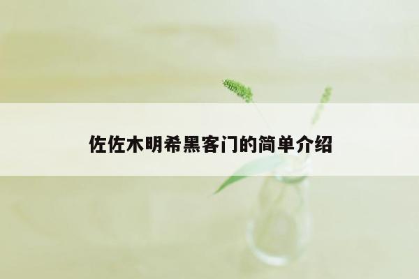 佐佐木明希黑客门的简单介绍