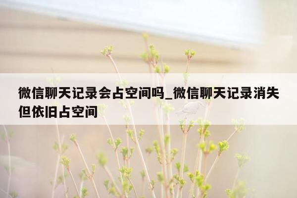 微信聊天记录会占空间吗_微信聊天记录消失但依旧占空间