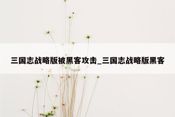 三国志战略版被黑客攻击_三国志战略版黑客