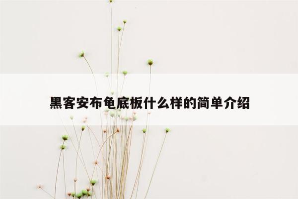 黑客安布龟底板什么样的简单介绍