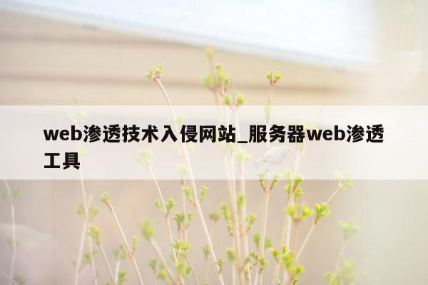 web渗透技术入侵网站_服务器web渗透工具