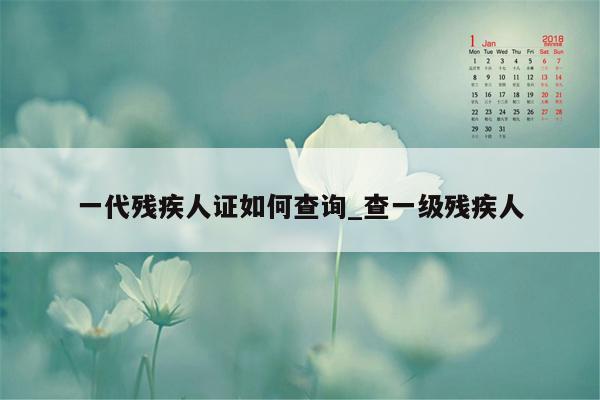 一代残疾人证如何查询_查一级残疾人