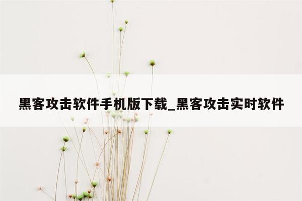 黑客攻击软件手机版下载_黑客攻击实时软件