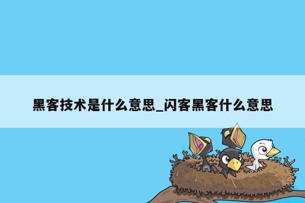 黑客技术是什么意思_闪客黑客什么意思