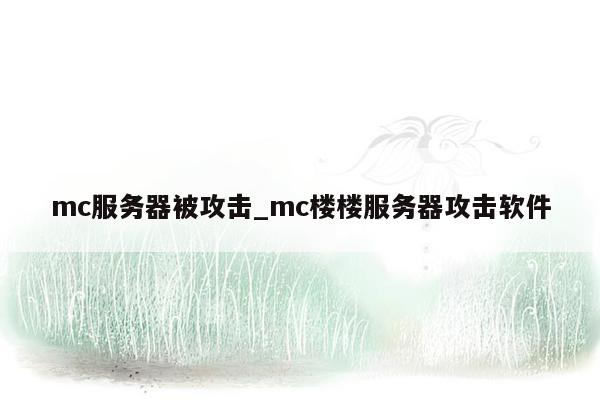 mc服务器被攻击_mc楼楼服务器攻击软件