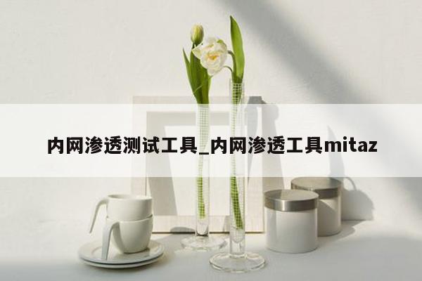 内网渗透测试工具_内网渗透工具mitaz