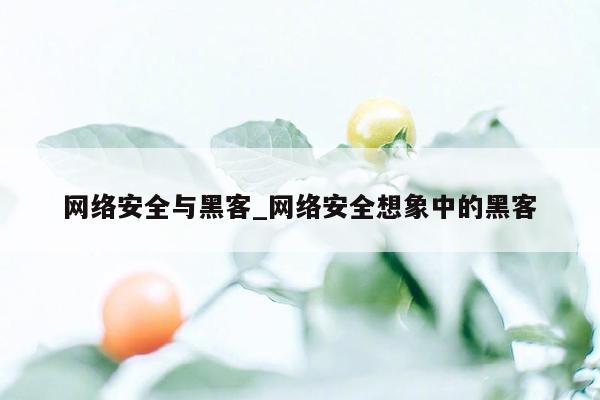 网络安全与黑客_网络安全想象中的黑客