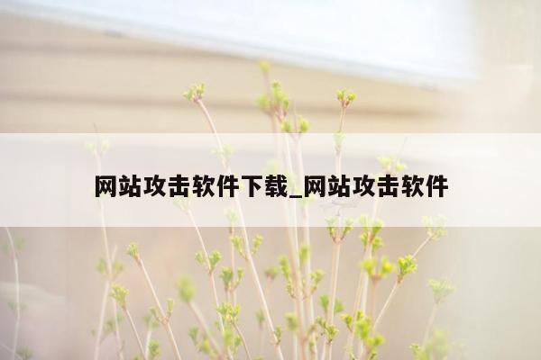 网站攻击软件下载_网站攻击软件