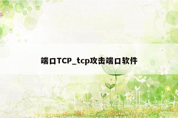 端口TCP_tcp攻击端口软件