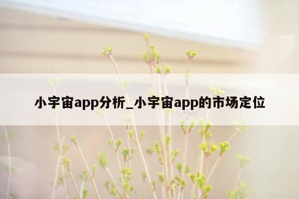 小宇宙app分析_小宇宙app的市场定位