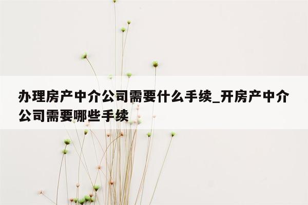 办理房产中介公司需要什么手续_开房产中介公司需要哪些手续