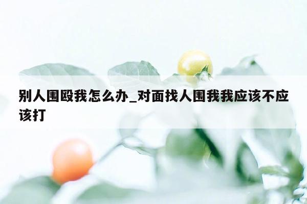 别人围殴我怎么办_对面找人围我我应该不应该打