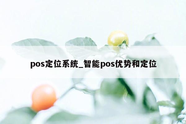 pos定位系统_智能pos优势和定位