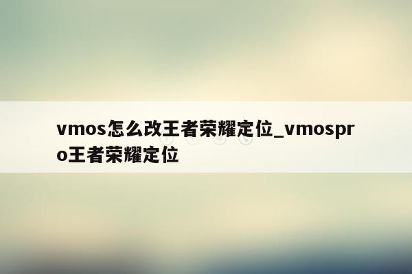 vmos怎么改王者荣耀定位_vmospro王者荣耀定位