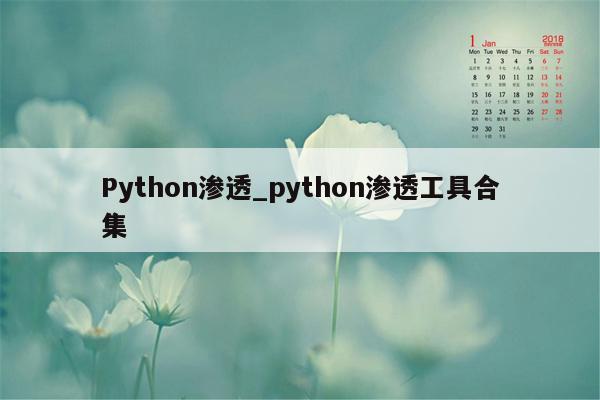 Python渗透_python渗透工具合集