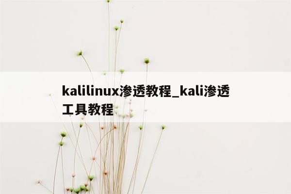 kalilinux渗透教程_kali渗透工具教程