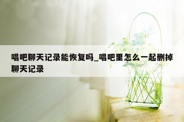 唱吧聊天记录能恢复吗_唱吧里怎么一起删掉聊天记录