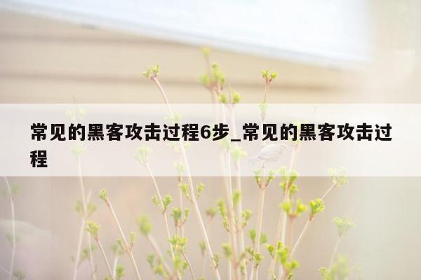 常见的黑客攻击过程6步_常见的黑客攻击过程