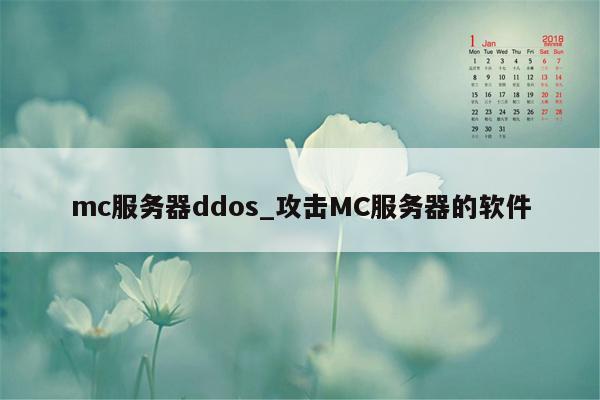 mc服务器ddos_攻击MC服务器的软件